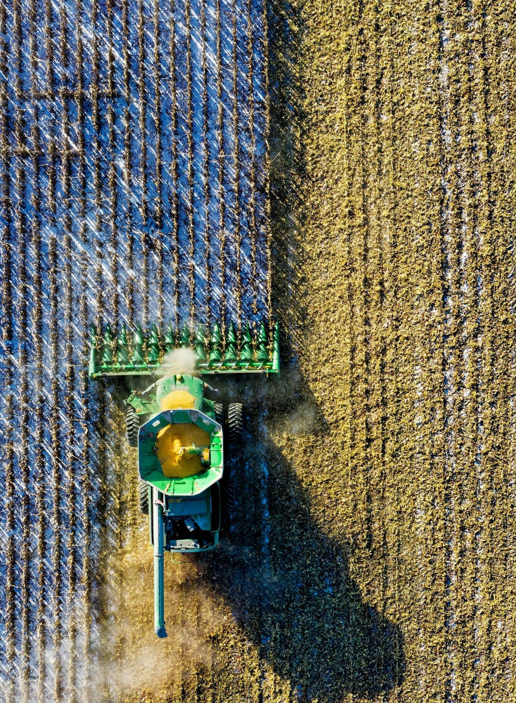 Farm property protected in a family trusts dispute